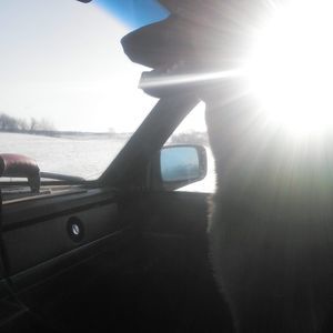 Meet your Posher, Travis